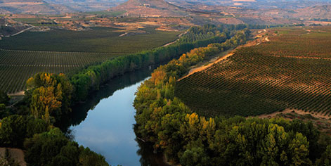 Paisaje de un valle con río